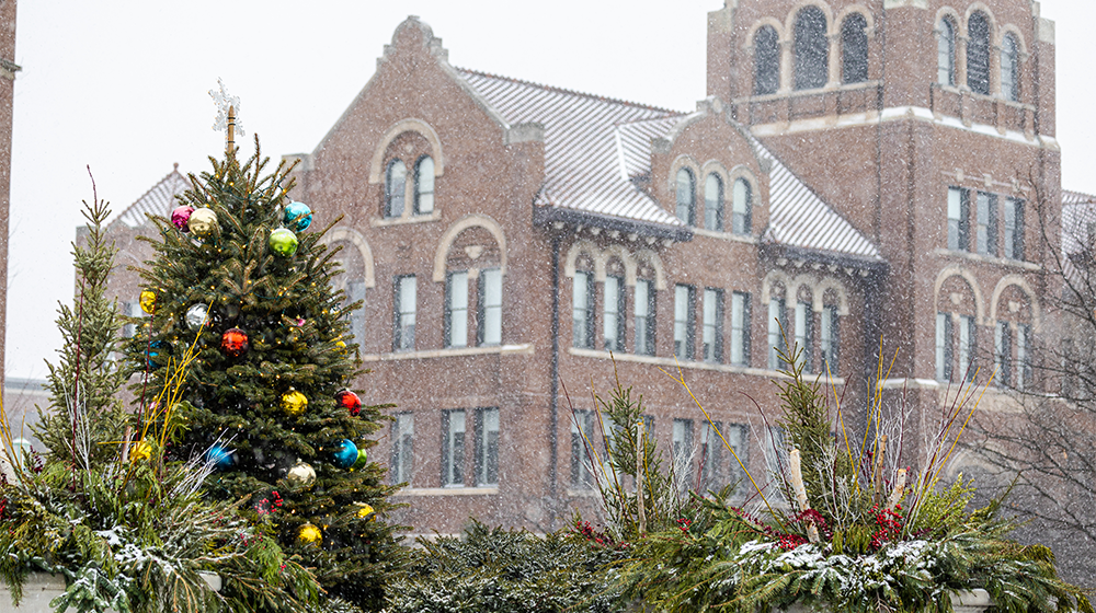 Snow falls on Cudahy Hall and a bush decorated like a Christmas tree on Lake Shore Campus.