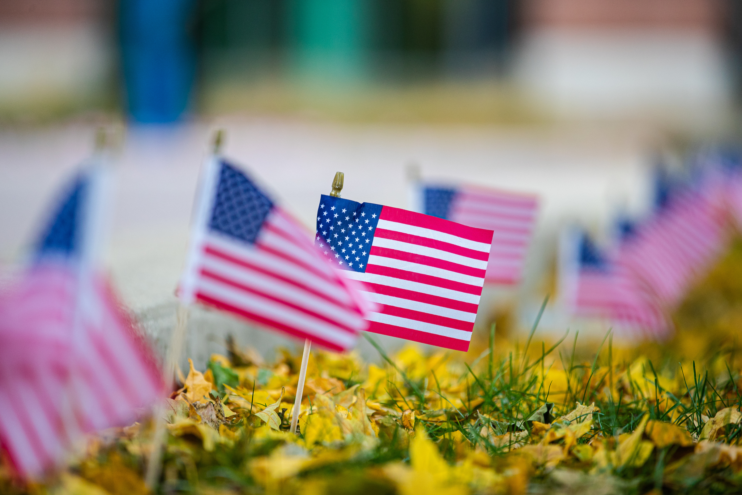 Veterans Day Flags