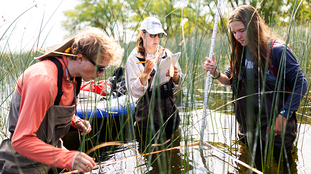 Students doing wetland research in the field