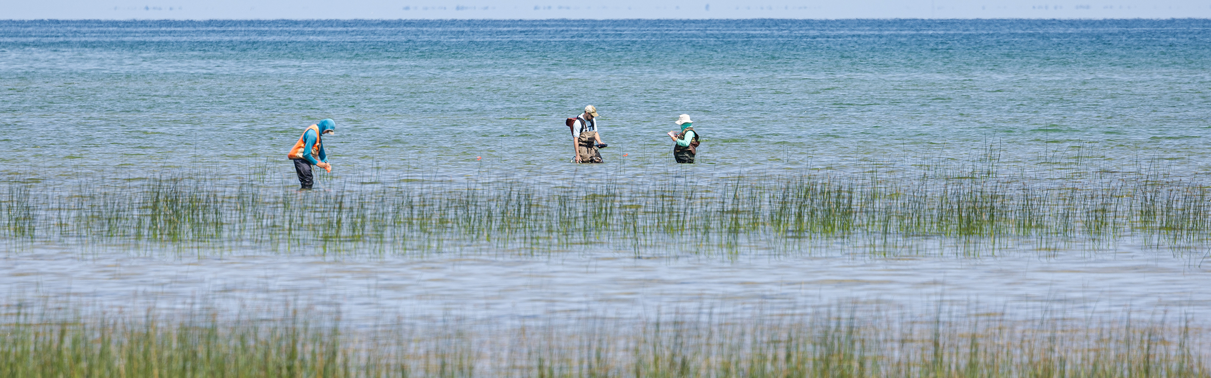 SES staff in waders